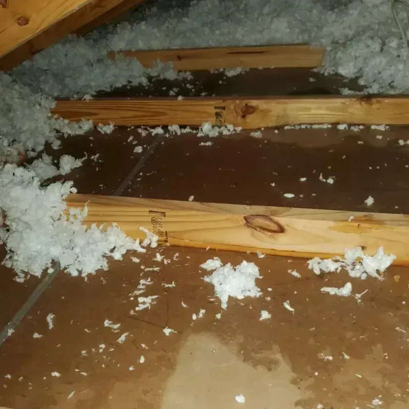 Attic Water Damage in Nampa, ID