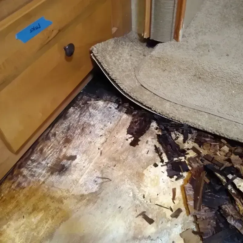 Wood Floor Water Damage in Nampa, ID